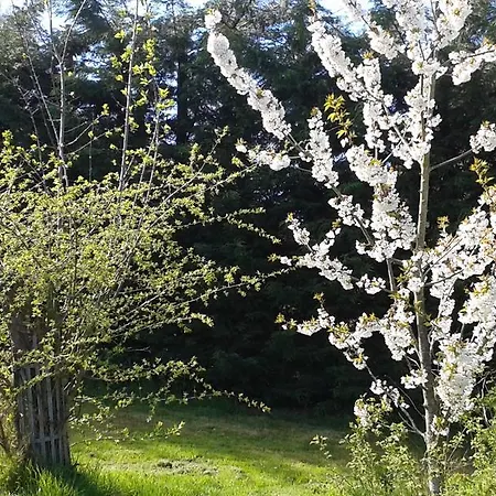 D'hotes Entre Deux Rives